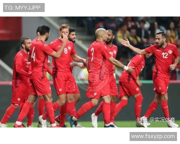 加纳与突尼斯实力对比分析谁能在足球赛场上更胜一筹