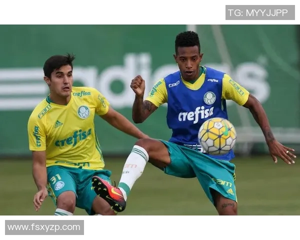 巴西对阵韩国精彩视频直播全程回放与赛后分析 巴西对阵韩国精彩视频直播全程回放与赛后分析