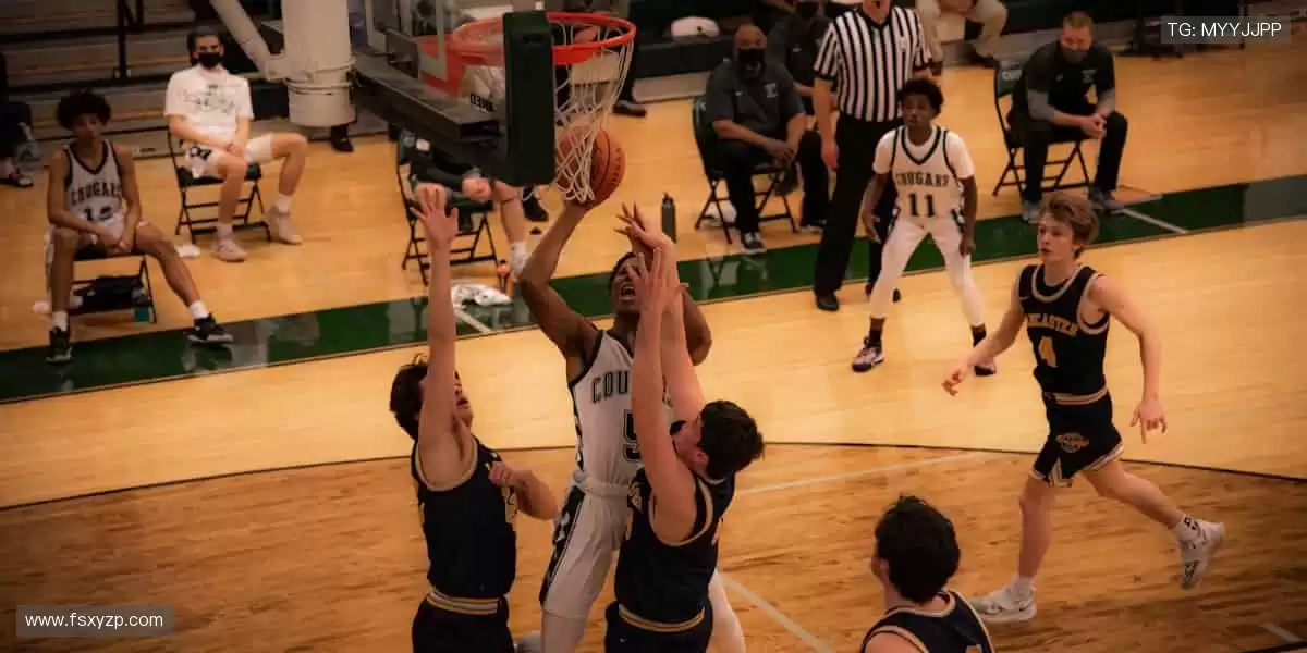 🌟 赛事策划，专业打造专属体育盛宴！